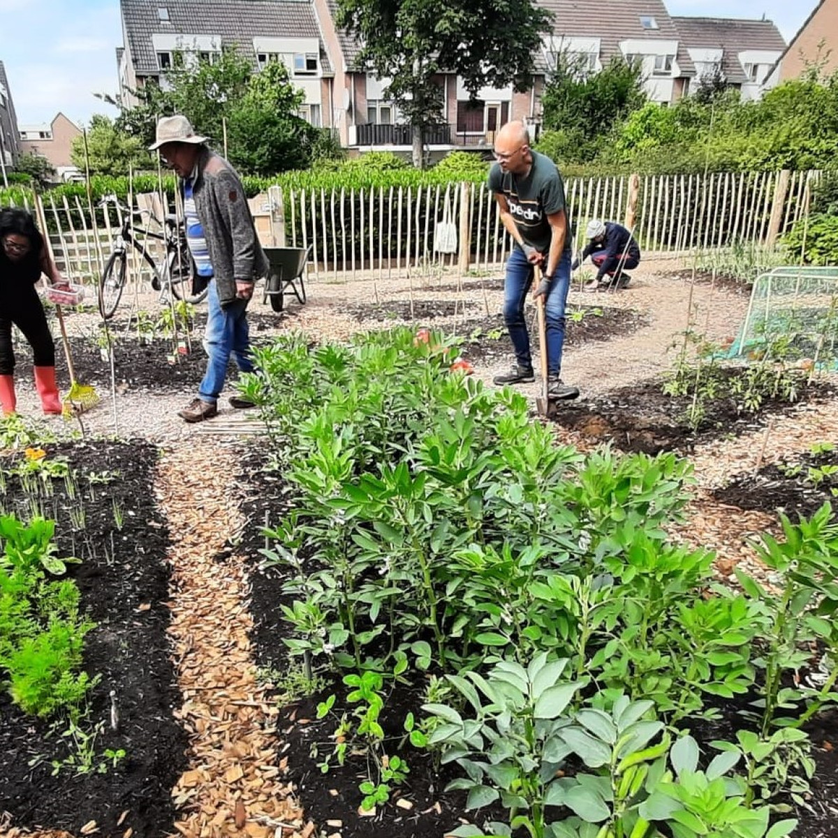 Dit zijn de leukste moestuinen in jouw buurt | Vanaf Hier